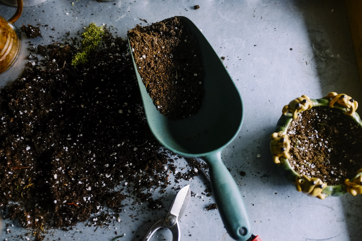 Garden tools and potting soil